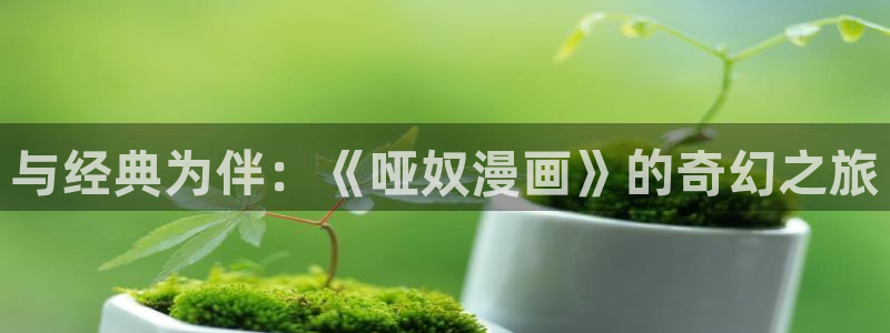 漫蛙防走失站地址