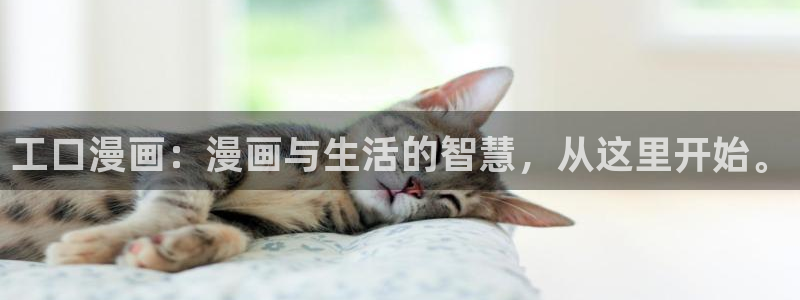 漫蛙bl