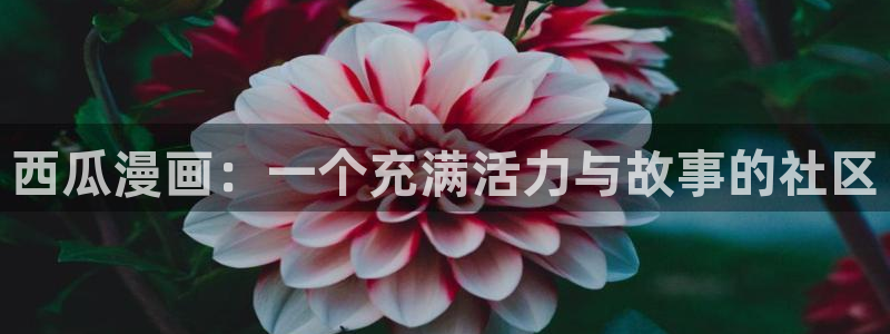 漫蛙manwa2优游网