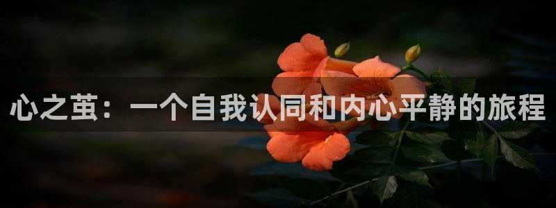大陆地区2:漫蛙网页版备用