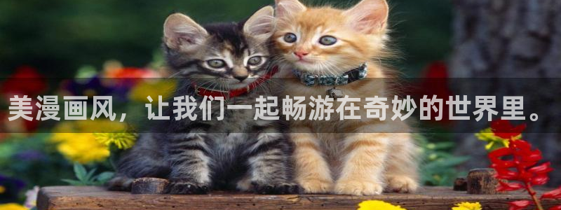 漫蛙漫画正版下载安装