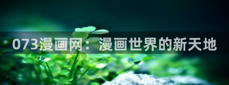 漫蛙2怎么下载漫画